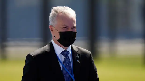 Президент Литвы готов обсудить с Эрдоганом нелегальную миграцию