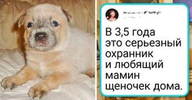 8fe9c8585081b6b70d47d474ab.jpg