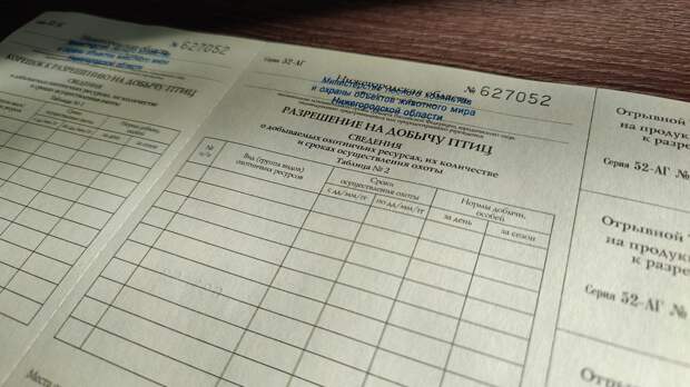 Нижегородский Минлесхоз 20 марта начинает выдавать разрешения на добычу пернатой дичи