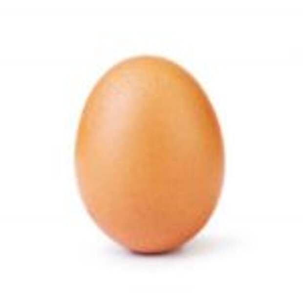 Фото куриного яйца набрала 26 000 000 лайков и это абсолютный рекорд (фото дня)
