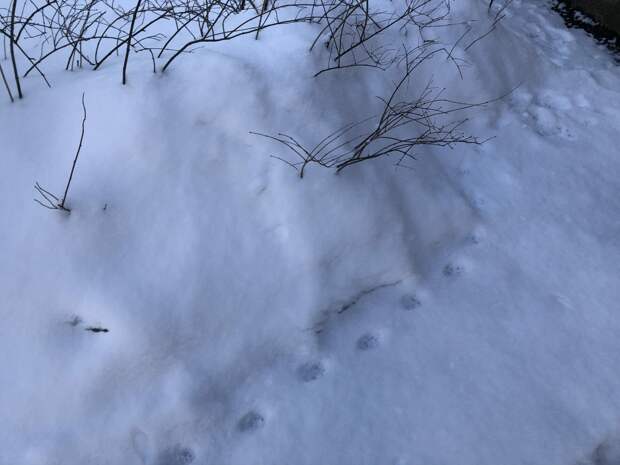 ГАТИ с приходом весны наградила петербуржцев штрафами на 1,3 млн рублей