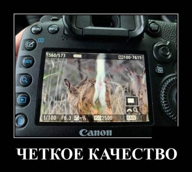 demotivatory-demotivator-smeshnye-demotivatory-demotivator-so-smyslom