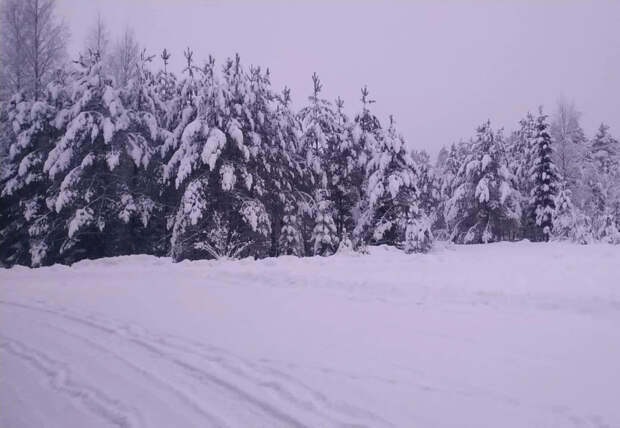 В Поморье погоня закончилась разочарованием и звонком в 112