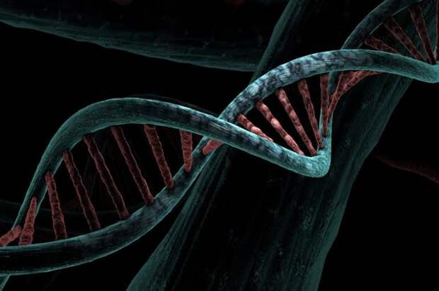 Самое масштабное исследование генома выявило 134 новых гена, ассоциированных с РАС
