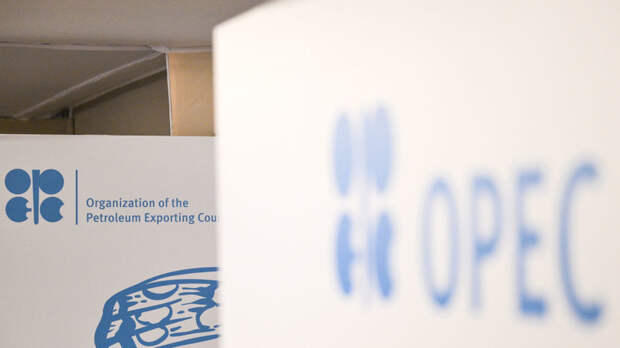 Аналитик Юшков: выход ОАЭ из ОПЕК не сразу повлияет на рынок нефти