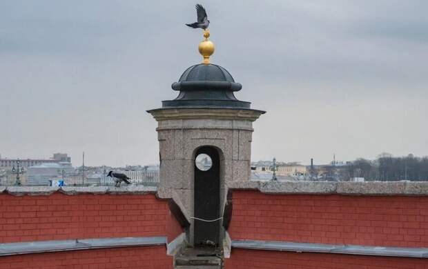 Мокрый снег и ветер: какая погода ждёт Петербург 23 апреля