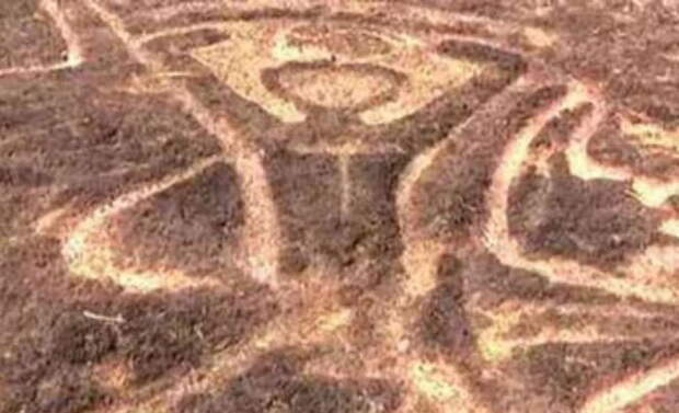 Официальная история человечества оказалась под угрозой