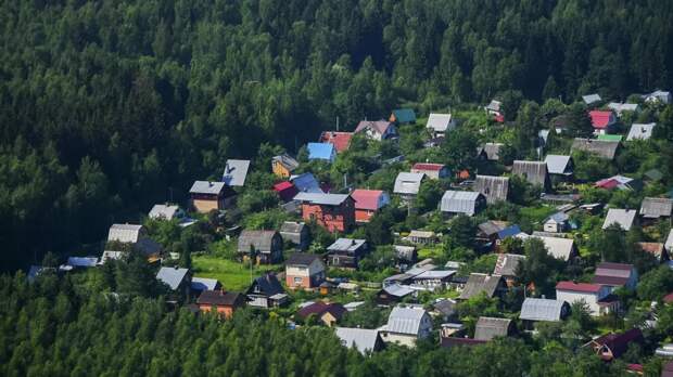 Юрист Свечникова: владельцам участков выгодно объединяться в СНТ