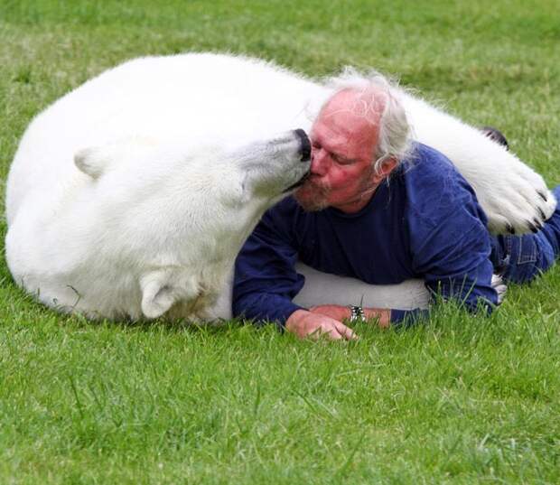 Белый медведь Эйджи