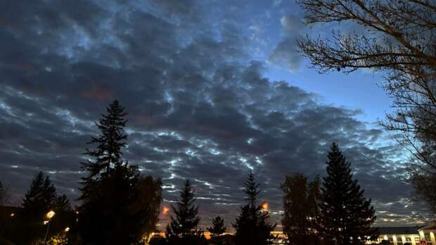 Такой день. Предупреждение о "подтоплении до опасных отметок" и 36‑й случай бешенства