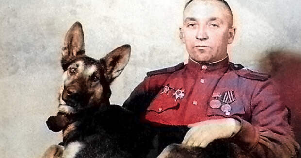 Джульбарс. Пёс, которого на Параде Победы несли на руках