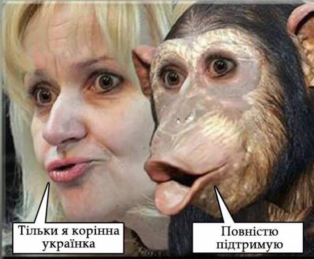 СБУ начала уголовное преследование Ирины Фарион — за русофобию | Русская весна