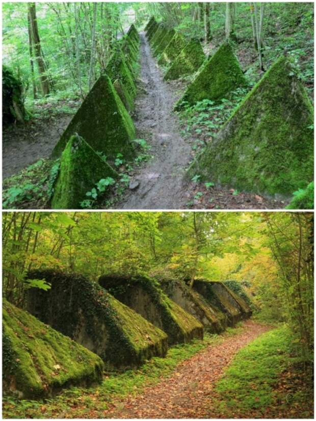 Возле «Линии Тоблерон», к которой так и не подошли советские войска, теперь проходят туристические тропы (Toblerone lines, Швейцария).
