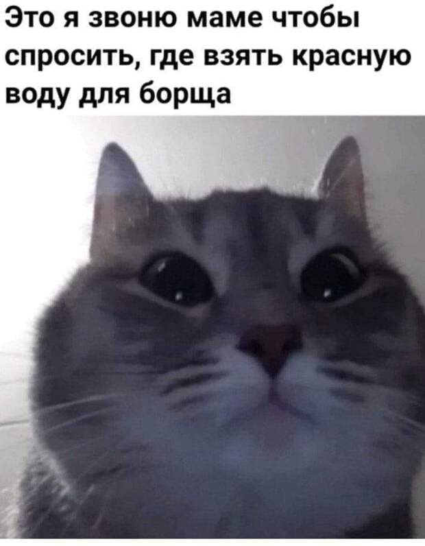 Почему-то многие модели на показах мод ходят по подиуму с таким злым выражением лица...