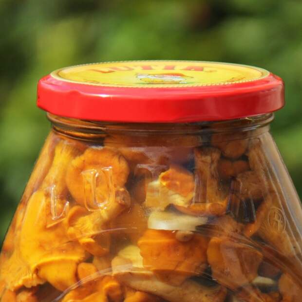 Лисички, маринованные с чесноком на зиму