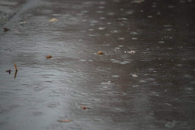 Татарстанда яңгыр явуы һәм +13 градуска кадәр җылы булуы көтелә