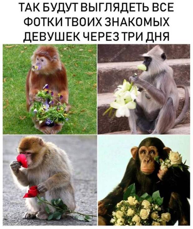 Самые весенний юмор: 25 классных анекдотов и шуточек для великолепного настроения