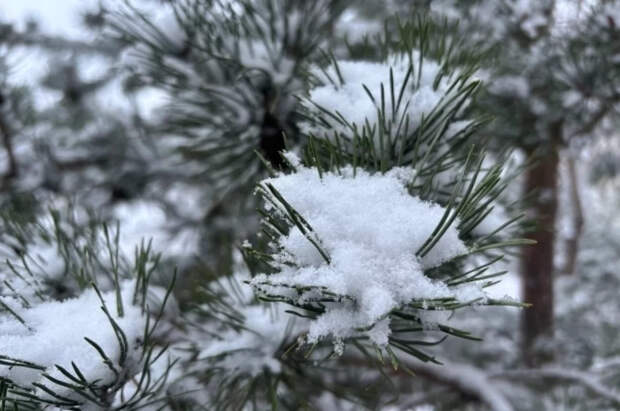 В Московской области за ночь выпало около 30% месячной нормы осадков