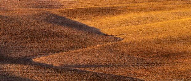 Val d ‘orcia 2020 by Damiano Scarlatti on 500px.com