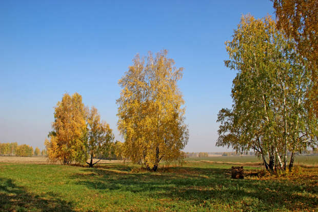 Осенняя прелесть