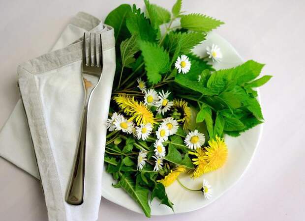 Необычный рецепт: салат из листьев одуванчиков и молодой крапивы от Алекса Якутова