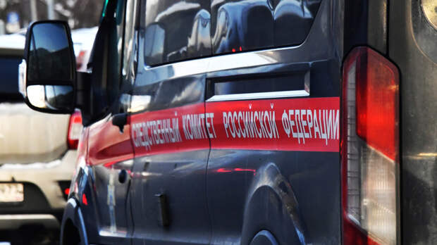 СК России возбудил дело после стрельбы при задержании на Рублёвке