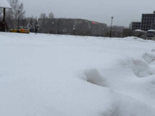 Прогноз на ближайшие дни: где в России сохранится зимняя погода