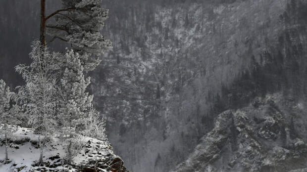 Глаз, как у орла: новые данные о поиске бесследно пропавшей семьи Усольцевых