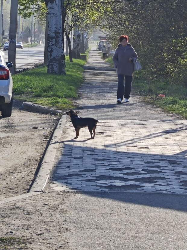 Стоит на остановке, 14-я больница! Ищет хозяина