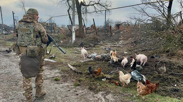 «Всё горело и пылало». Военкор сообщил, сколько солдат ВСУ было уничтожено в Ольговском лесу