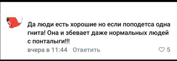 Вот гнита с понталыги