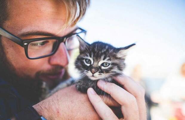 Почему ученые считают, что у каждого мужчины должна быть кошка