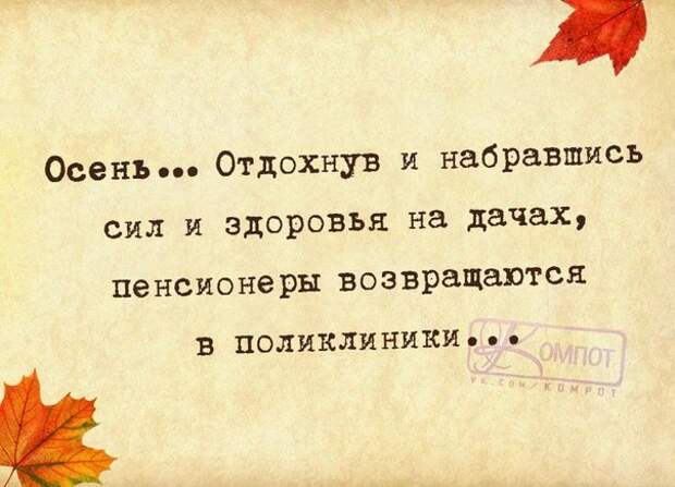 Прикольные фразочки в картинках