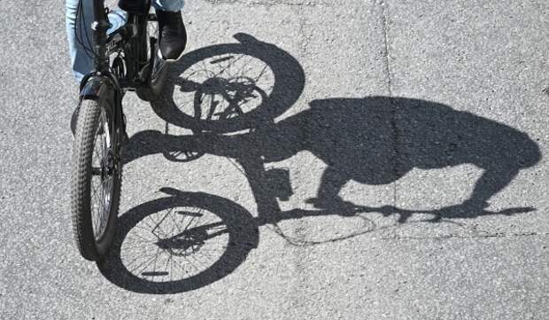 Москвичи на маркетплейсах чаще всего выбирают самокаты и велосипеды в качестве летнего транспорта