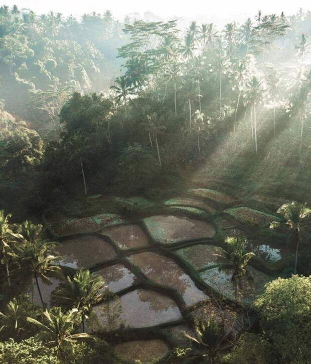 Чудесные фото Азии с высоты птичьего полета