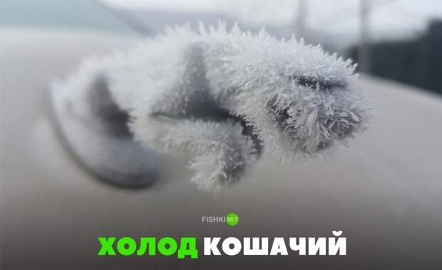 Свежая подборка автоприколов авто, автоприколы, приколы