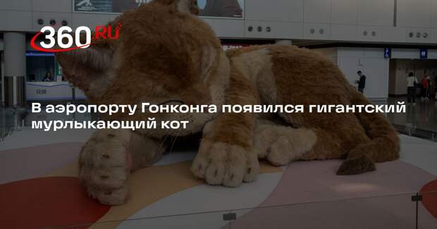 В аэропорту Гонконга появился гигантский мурлыкающий кот