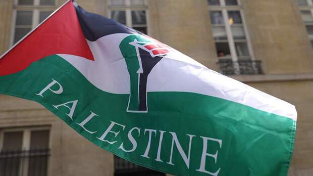 Парламент Франции отстранил доставшего флаг Палестины на заседании депутата