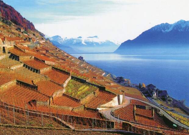 Террасовые виноградники Лаво в Швейцарии, которые основали еще древние римляне 