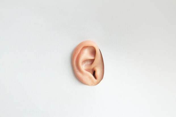 Как научиться шевелить ушами: очень простая инструкция