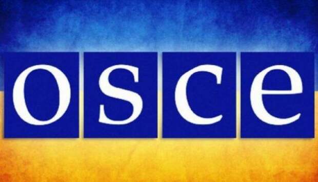 В ОБСЕ призвали Украину допустить российских наблюдателей на выборы | Продолжение проекта «Русская Весна»
