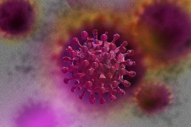 Количество заболевших коронавирусом в Севастополе увеличилось на 32 человека