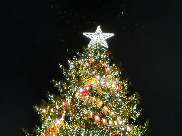 Петербуржцам рассказали, откуда и куда идти в пешее новогоднее путешествие