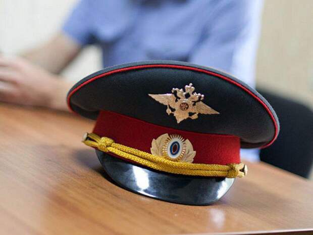 Полицейские задержали агрессора, напавшего на девушку на Замоскворецкой линии Фото из архива редакции