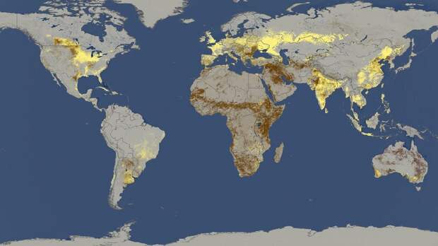 Жёлтым зарисованы страны, на которые приходится 82% сбора зерновых в мире