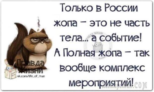 Смешные открытки с философские уклоном