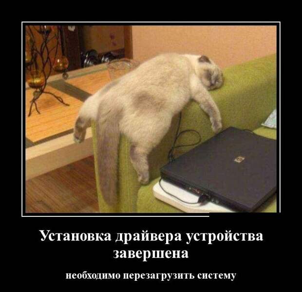 Позитивные и прикольные демотиваторы для настроения (11 фото)