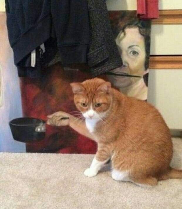 Снимки, на которые стоит посмотреть дважды