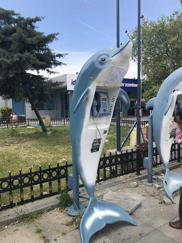 Подборка прикольных картинок