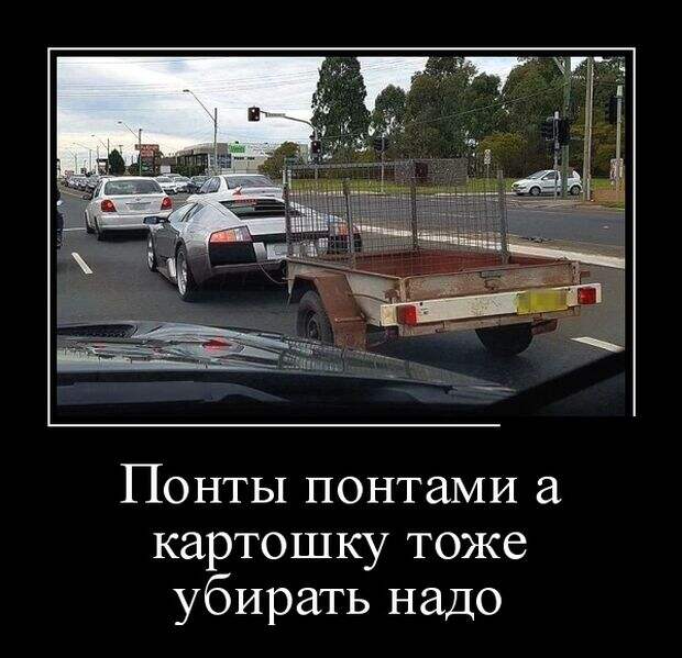 Демотиваторы